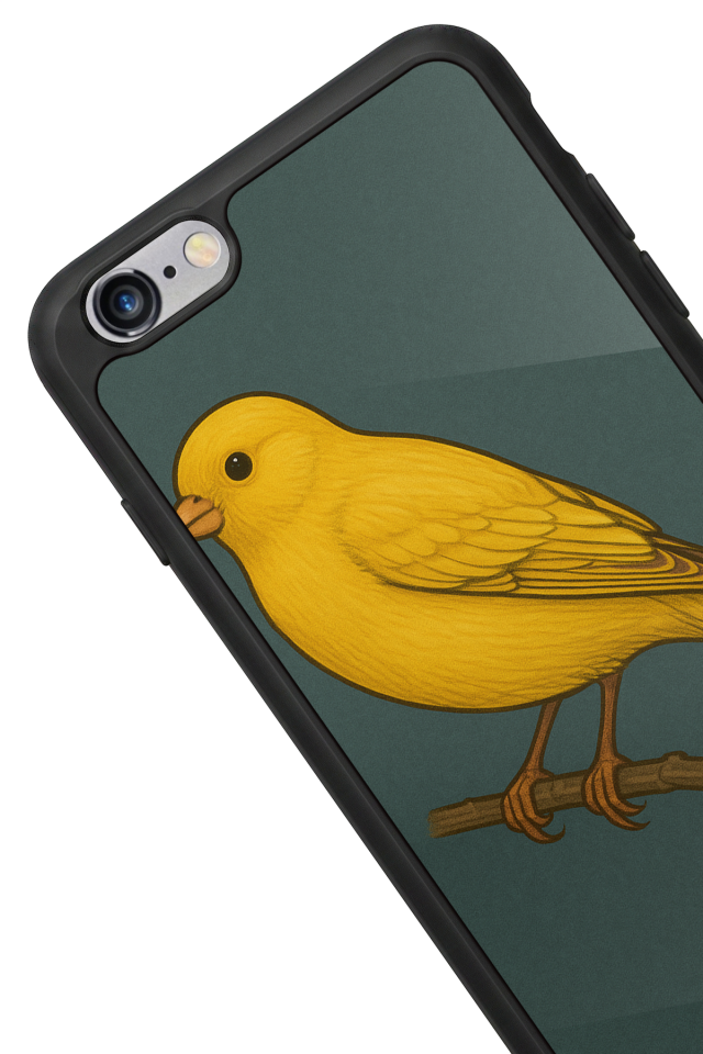 iPhone 6 Plus Uyumlu Fenerbahce Tasarımlı Glossy Premium Kılıf