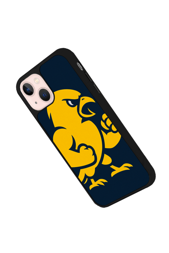 iPhone 13 Mini Uyumlu Fenerbahce Tasarımlı Glossy Premium Kılıf