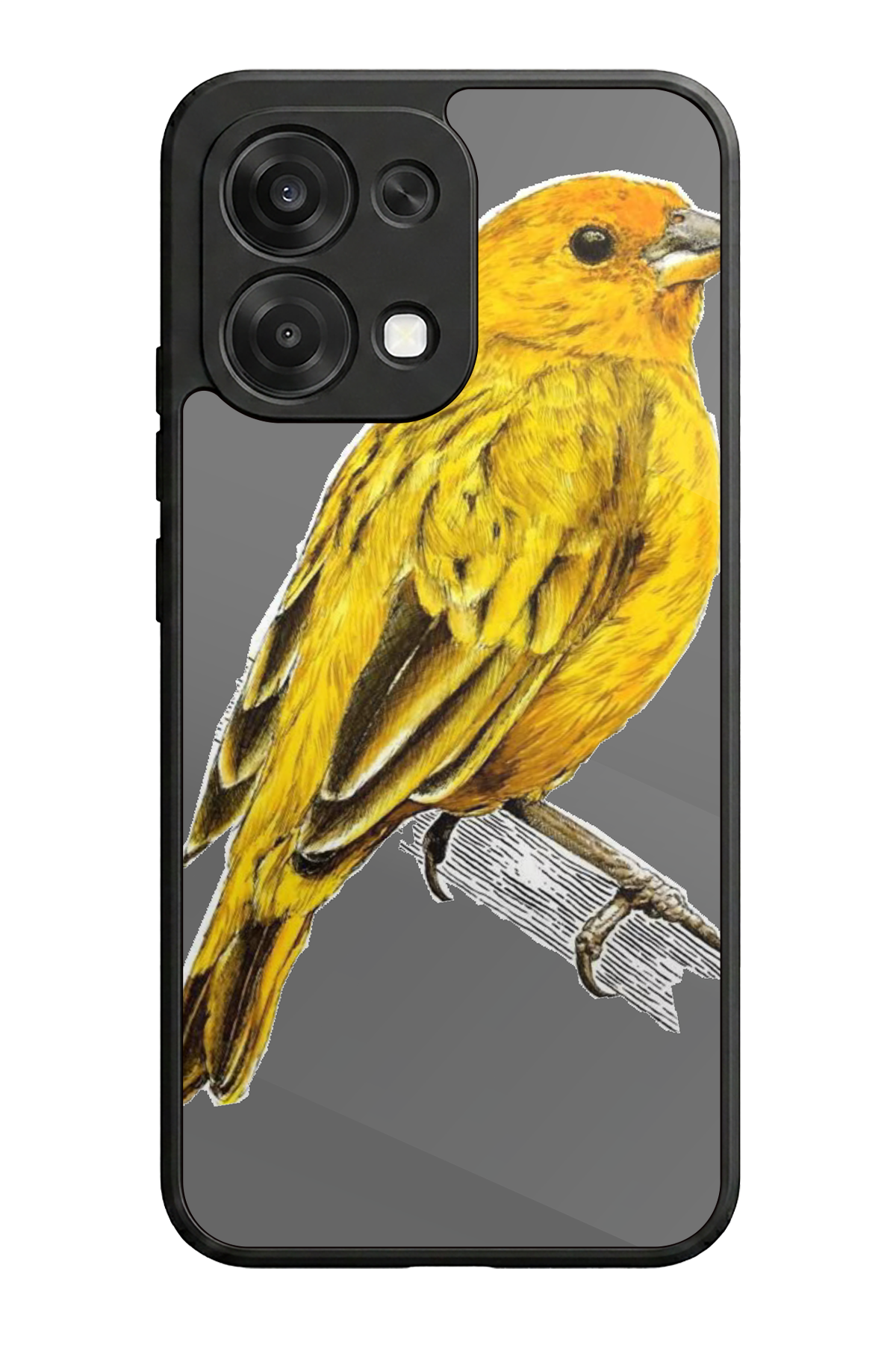 Oppo A6 Pro Uyumlu Fenerbahce Tasarımlı Glossy Premium Kılıf