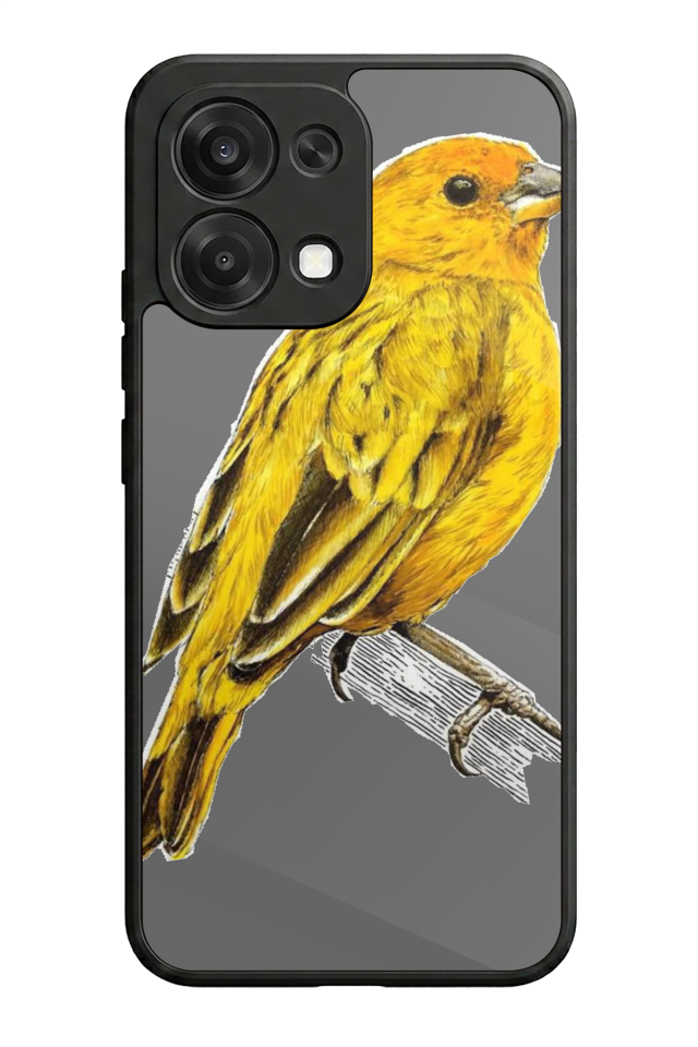 Oppo A6 Pro Uyumlu Fenerbahce Tasarımlı Glossy Premium Kılıf