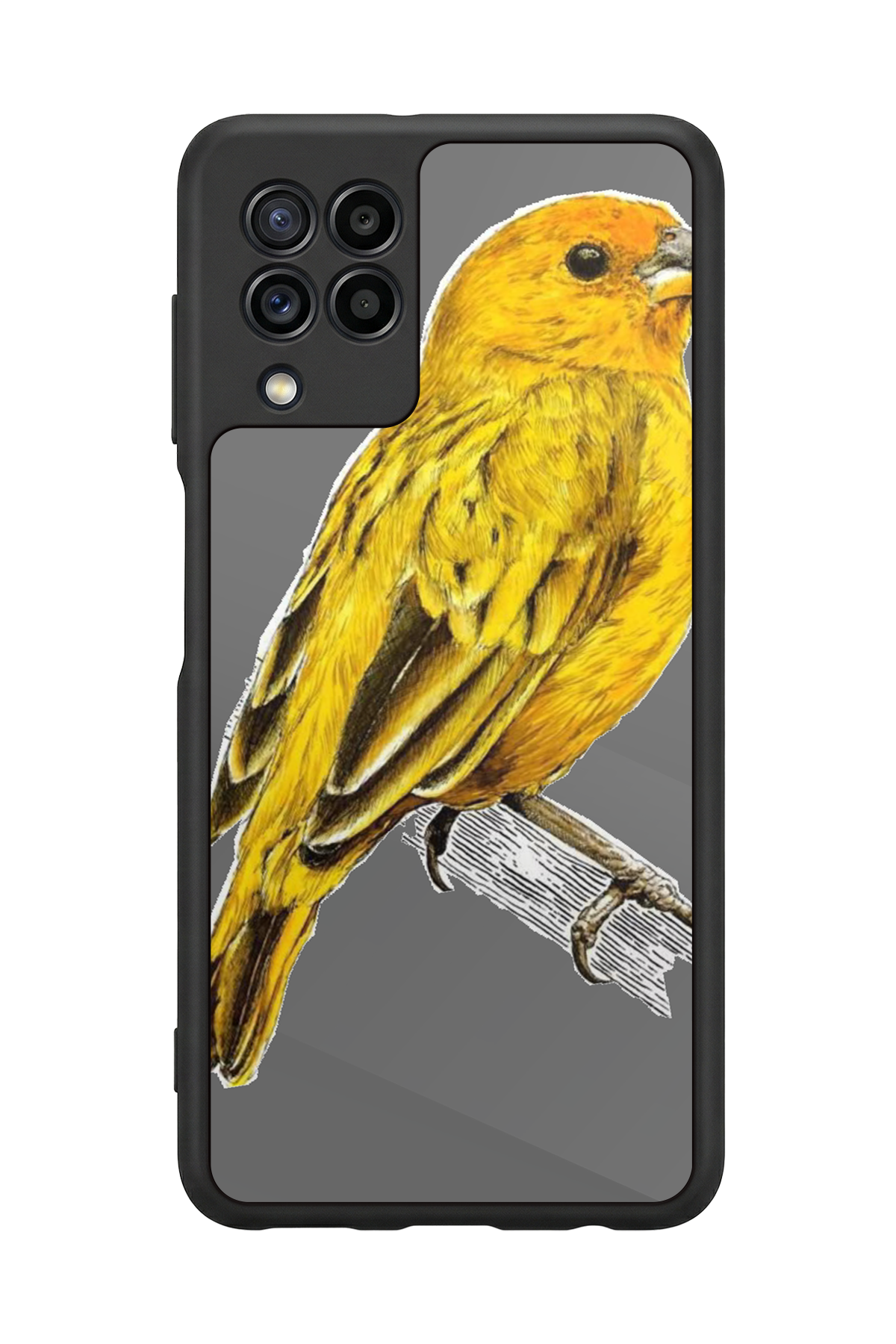 Samsung Galaxy M22 Uyumlu Fenerbahce Tasarımlı Glossy Premium Kılıf