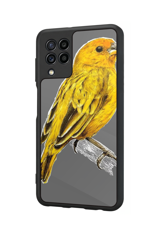Samsung Galaxy M22 Uyumlu Fenerbahce Tasarımlı Glossy Premium Kılıf
