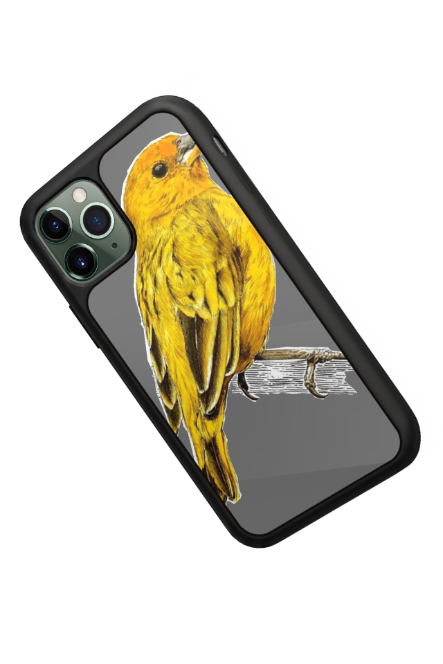 iPhone 11 Pro Uyumlu Fenerbahce Tasarımlı Glossy Premium Kılıf