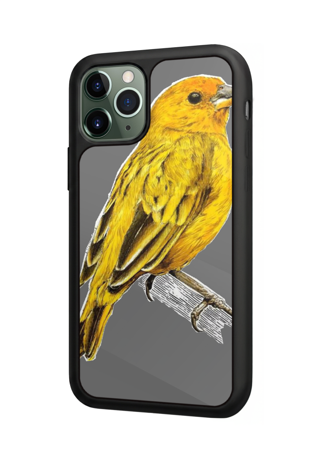iPhone 11 Pro Uyumlu Fenerbahce Tasarımlı Glossy Premium Kılıf