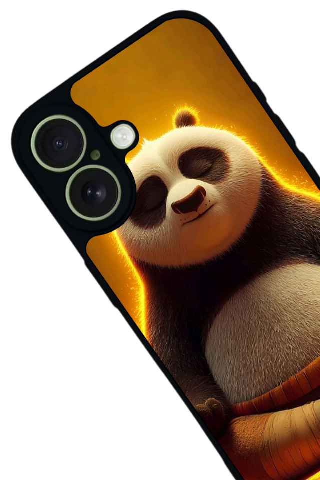 iPhone 17 Uyumlu Kung Fu Panda Tasarımlı Glossy Premium Kılıf