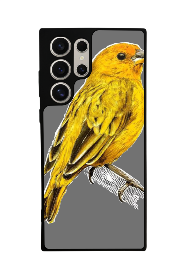 Samsung Galaxy S23 Ultra Uyumlu Fenerbahce Tasarımlı Glossy Premium Kılıf