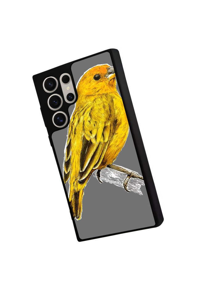 Samsung Galaxy S23 Ultra Uyumlu Fenerbahce Tasarımlı Glossy Premium Kılıf