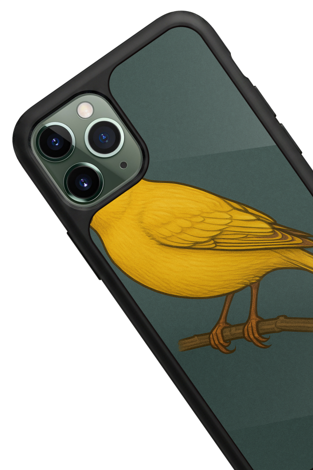 iPhone 11 Pro Uyumlu Fenerbahce Tasarımlı Glossy Premium Kılıf