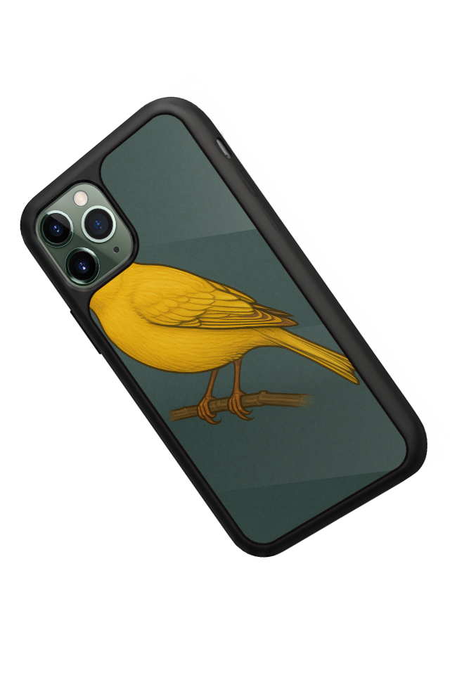 iPhone 11 Pro Uyumlu Fenerbahce Tasarımlı Glossy Premium Kılıf