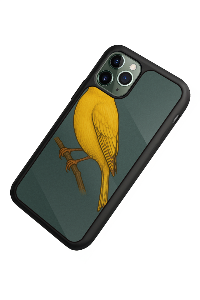iPhone 11 Pro Uyumlu Fenerbahce Tasarımlı Glossy Premium Kılıf