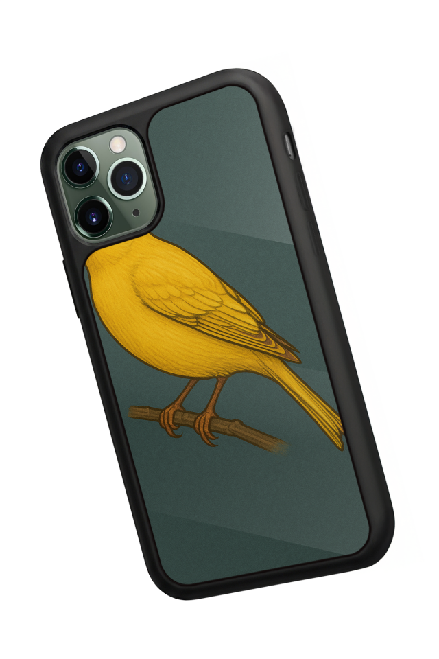 iPhone 11 Pro Uyumlu Fenerbahce Tasarımlı Glossy Premium Kılıf