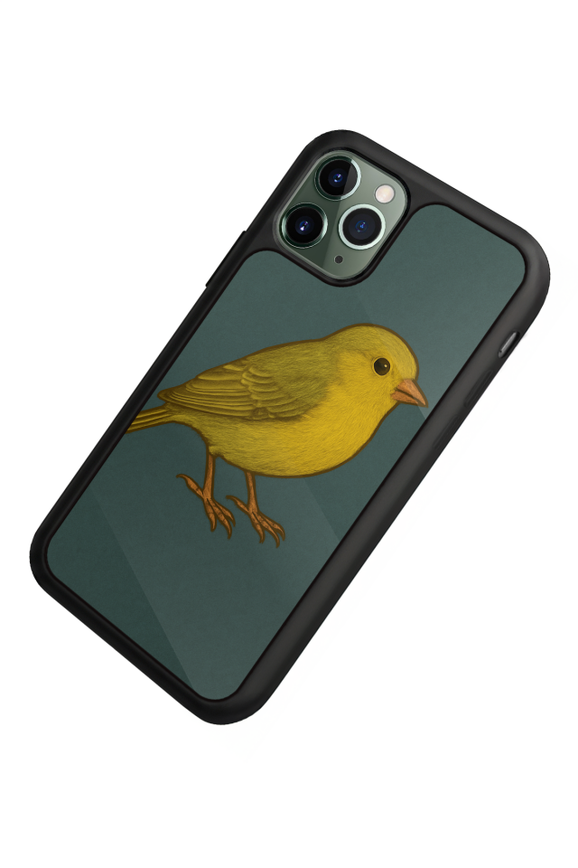 iPhone 11 Pro Uyumlu Fenerbahce Tasarımlı Glossy Premium Kılıf