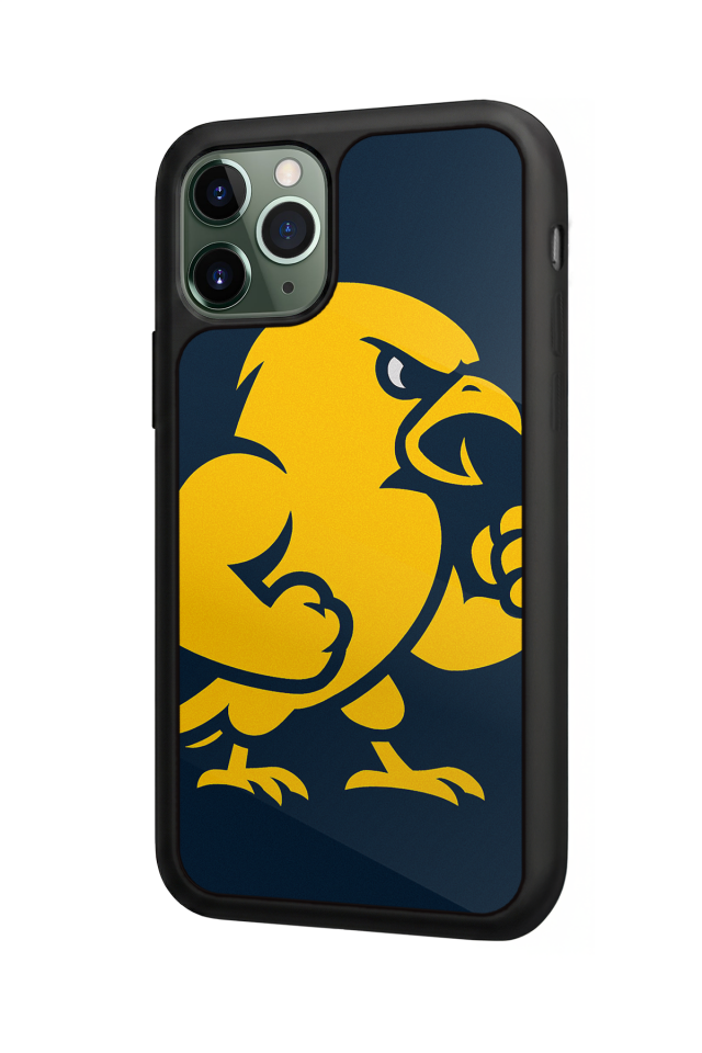 iPhone 11 Pro Uyumlu Fenerbahce Tasarımlı Glossy Premium Kılıf
