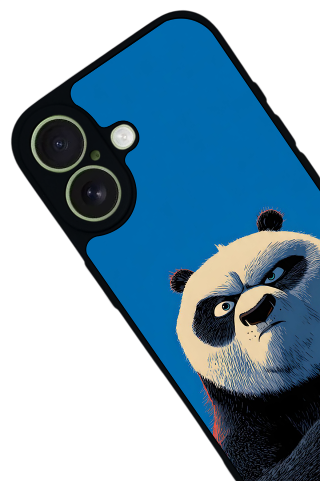 iPhone 17 Uyumlu Kung Fu Panda Tasarımlı Glossy Premium Kılıf