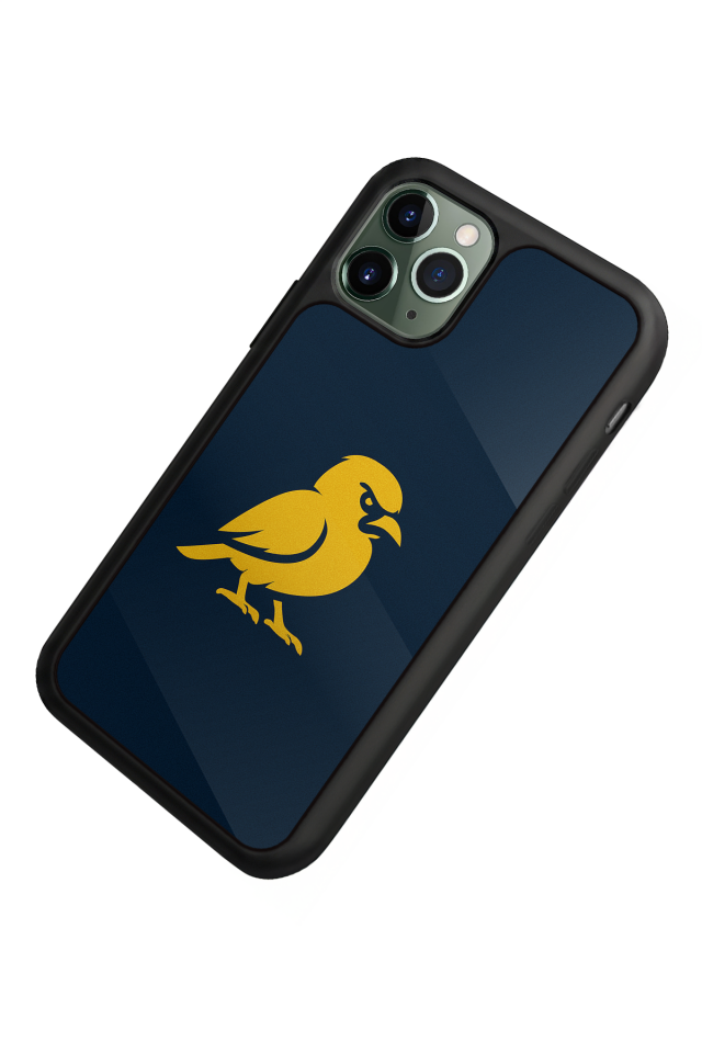 iPhone 11 Pro Uyumlu Fenerbahce Tasarımlı Glossy Premium Kılıf