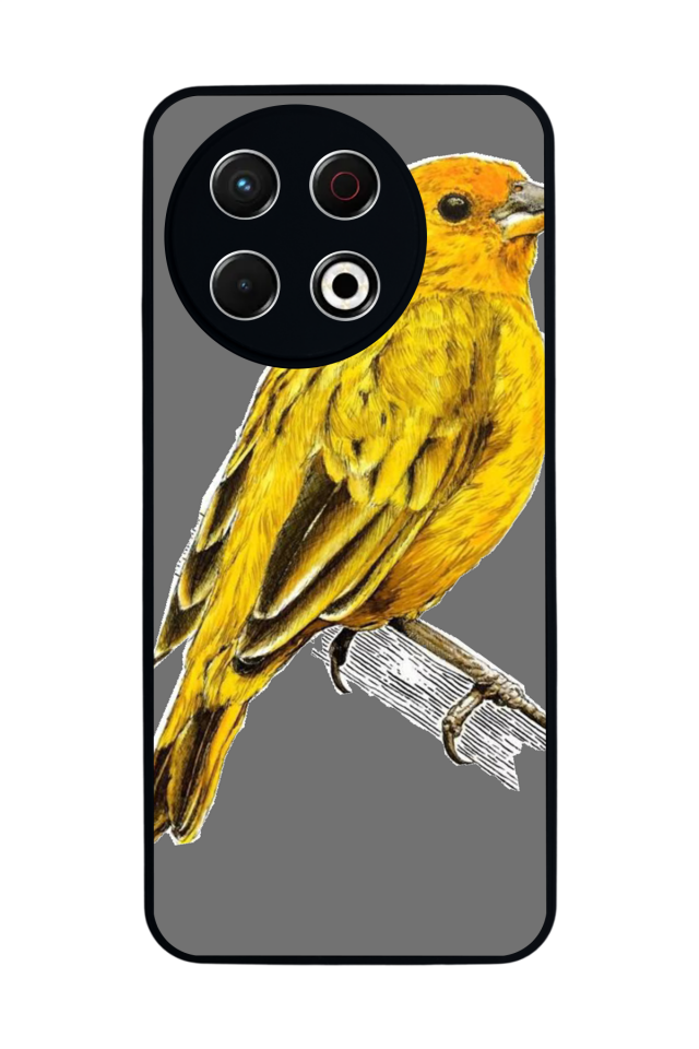 Tecno Spark 30 Pro Uyumlu Fenerbahce Tasarımlı Glossy Premium Kılıf