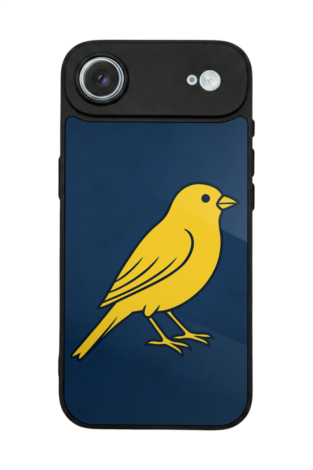iPhone 17 Air Uyumlu Fenerbahce Tasarımlı Glossy Premium Kılıf