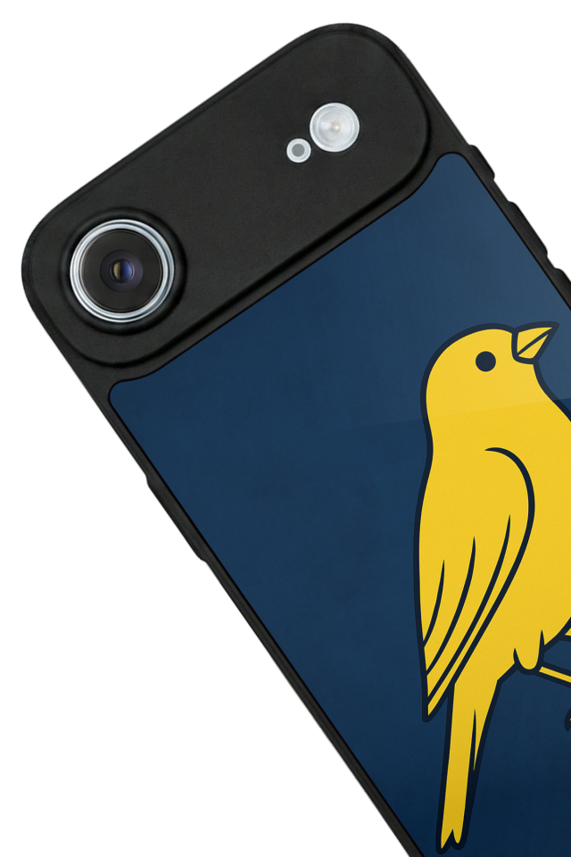 iPhone 17 Air Uyumlu Fenerbahce Tasarımlı Glossy Premium Kılıf