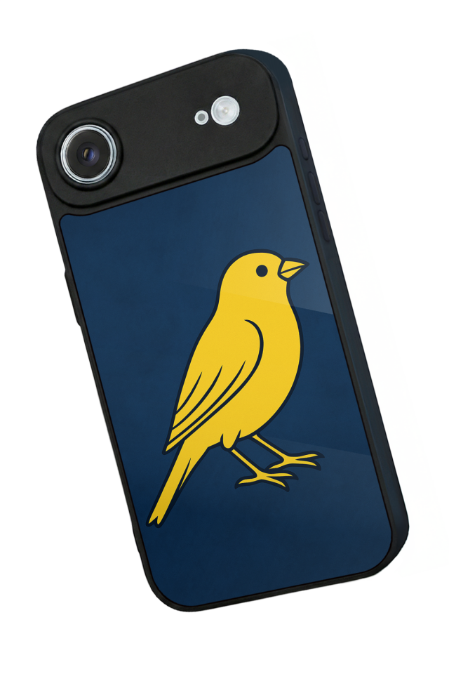 iPhone 17 Air Uyumlu Fenerbahce Tasarımlı Glossy Premium Kılıf