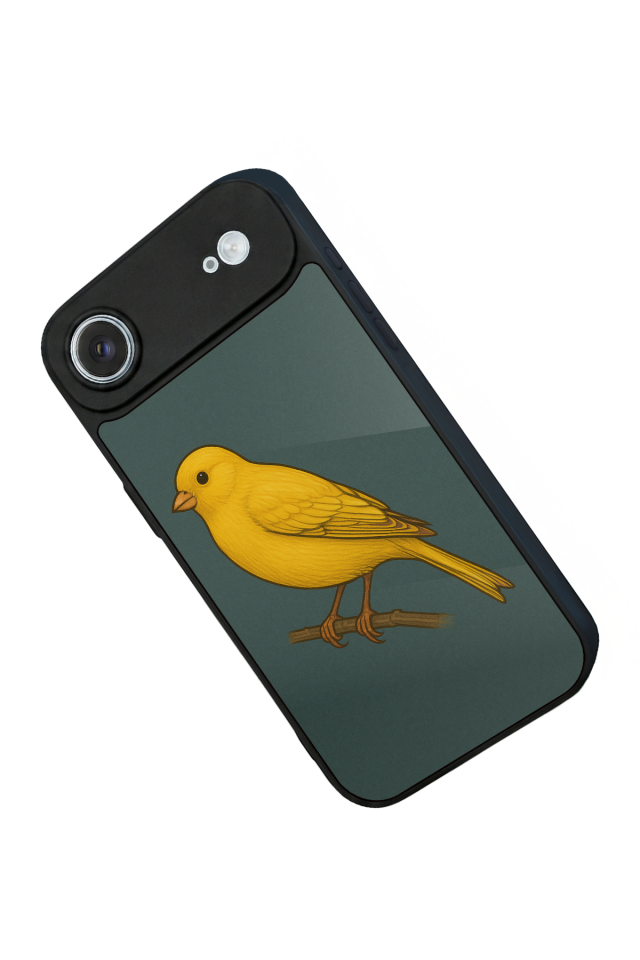 iPhone 17 Air Uyumlu Fenerbahce Tasarımlı Glossy Premium Kılıf