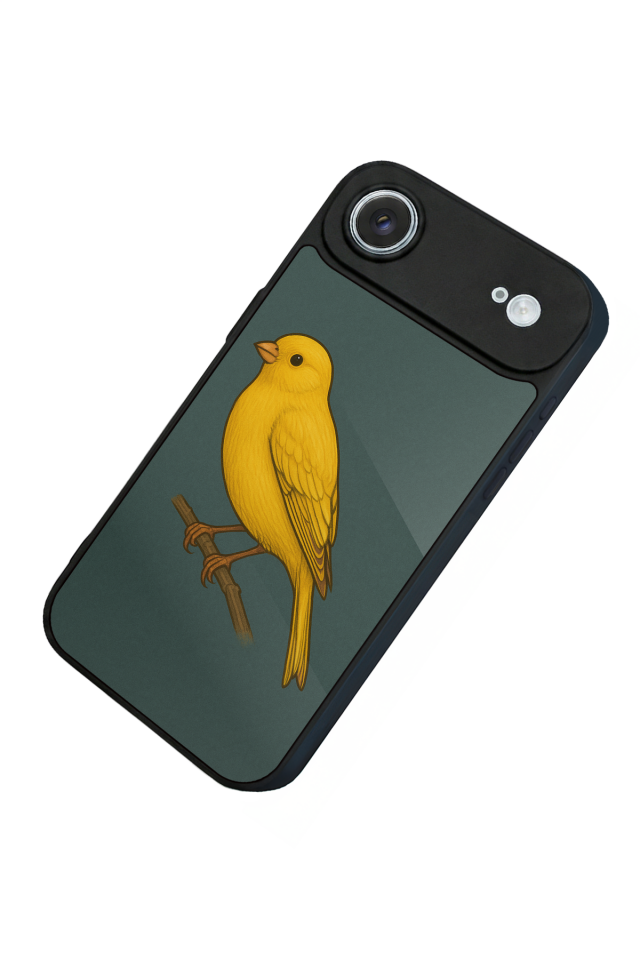 iPhone 17 Air Uyumlu Fenerbahce Tasarımlı Glossy Premium Kılıf