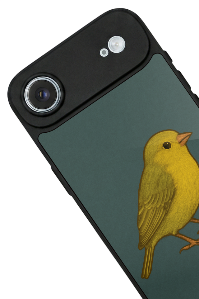 iPhone 17 Air Uyumlu Fenerbahce Tasarımlı Glossy Premium Kılıf