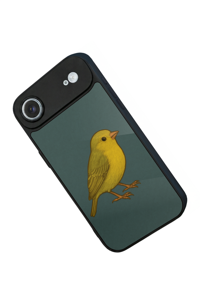 iPhone 17 Air Uyumlu Fenerbahce Tasarımlı Glossy Premium Kılıf