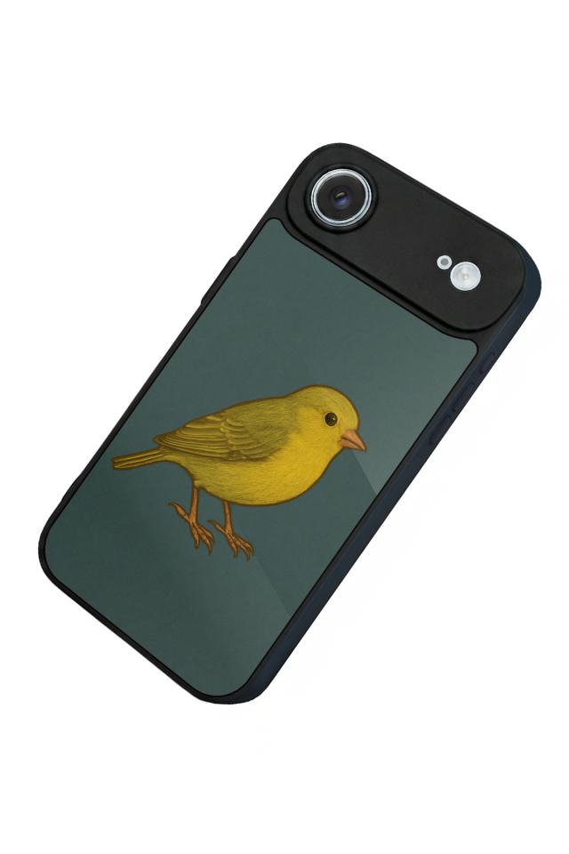 iPhone 17 Air Uyumlu Fenerbahce Tasarımlı Glossy Premium Kılıf