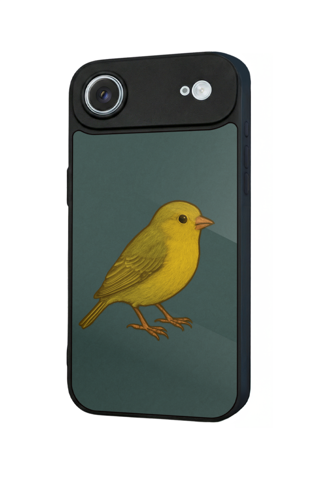 iPhone 17 Air Uyumlu Fenerbahce Tasarımlı Glossy Premium Kılıf