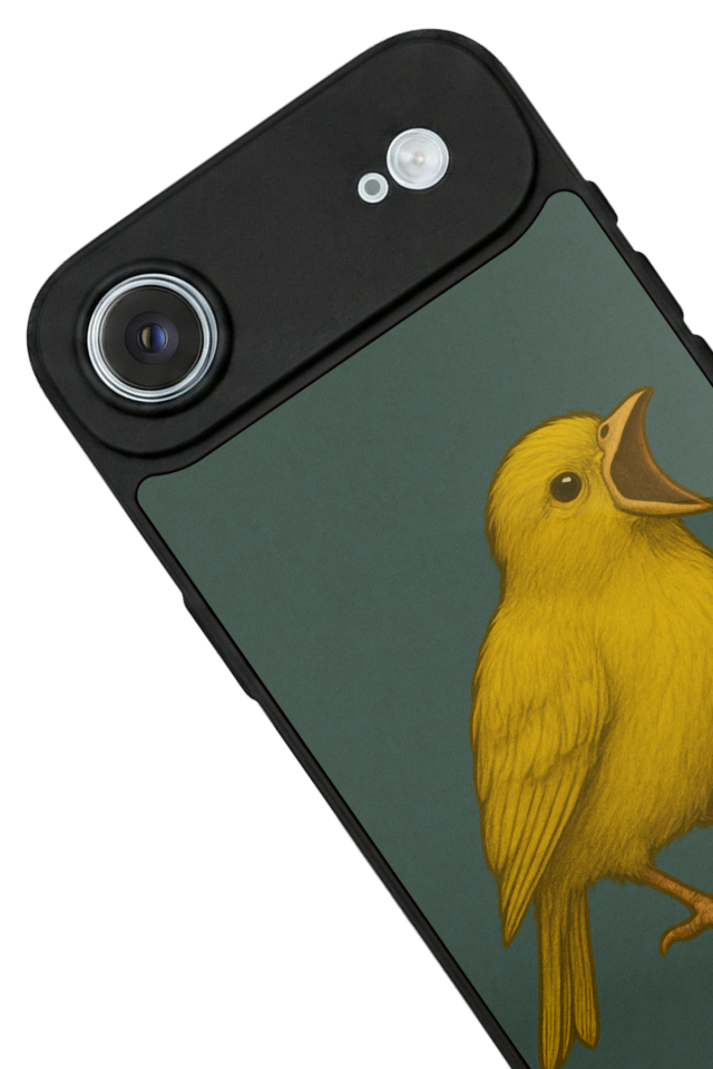 iPhone 17 Air Uyumlu Fenerbahce Tasarımlı Glossy Premium Kılıf