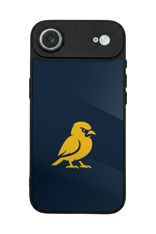 iPhone 17 Air Uyumlu Fenerbahce Tasarımlı Glossy Premium Kılıf