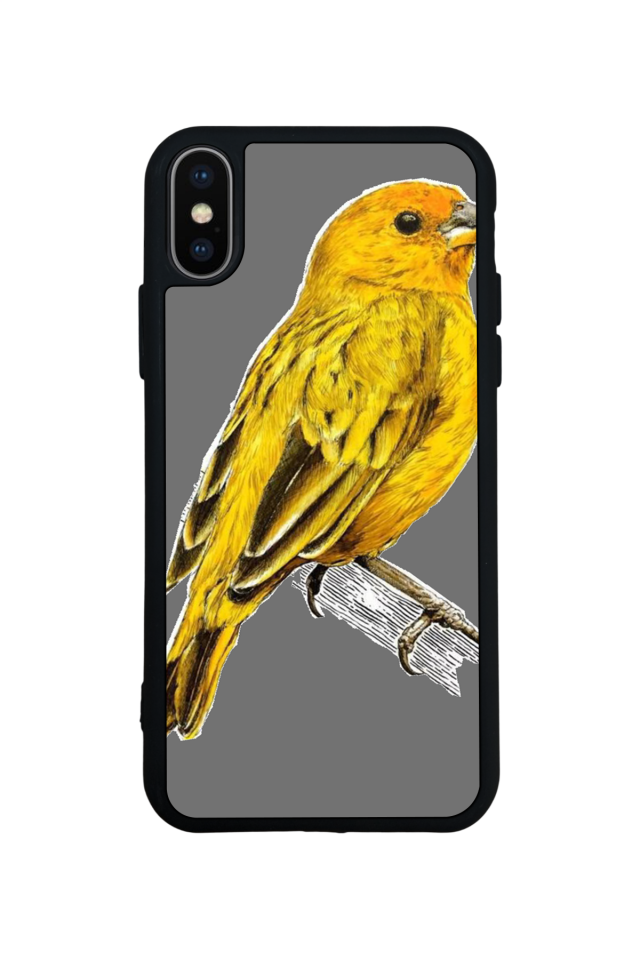 iPhone X/ XS Uyumlu Fenerbahce Tasarımlı Glossy Premium Kılıf