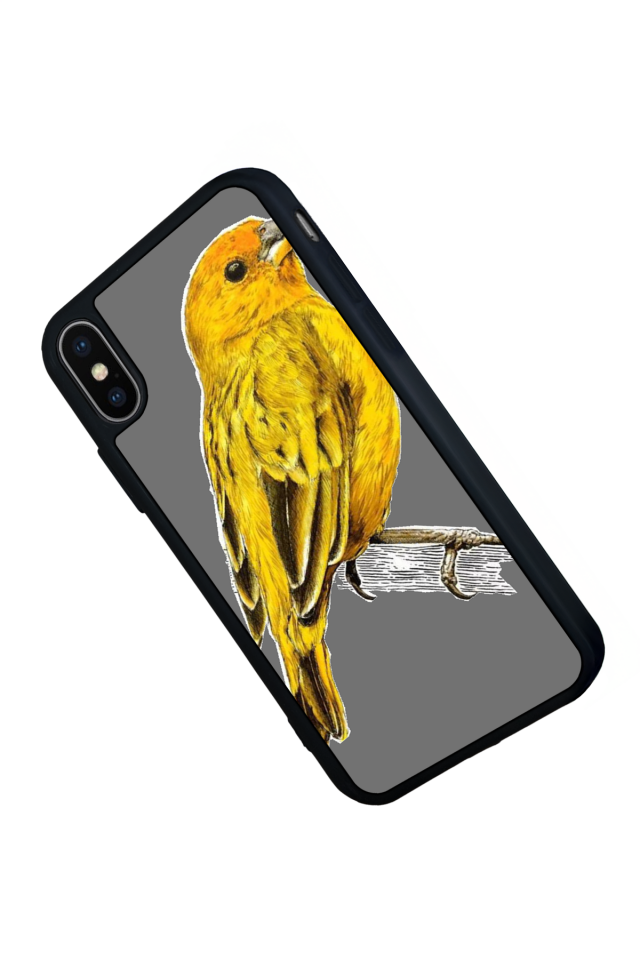 iPhone X/ XS Uyumlu Fenerbahce Tasarımlı Glossy Premium Kılıf