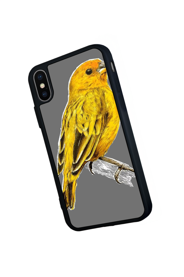 iPhone X/ XS Uyumlu Fenerbahce Tasarımlı Glossy Premium Kılıf