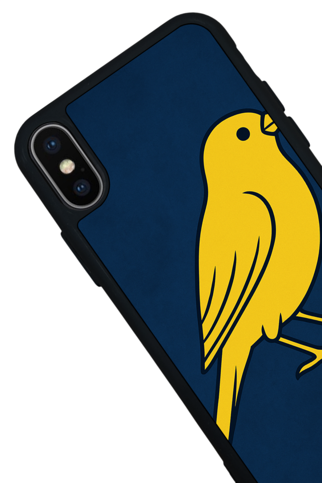iPhone X/ XS Uyumlu Fenerbahce Tasarımlı Glossy Premium Kılıf