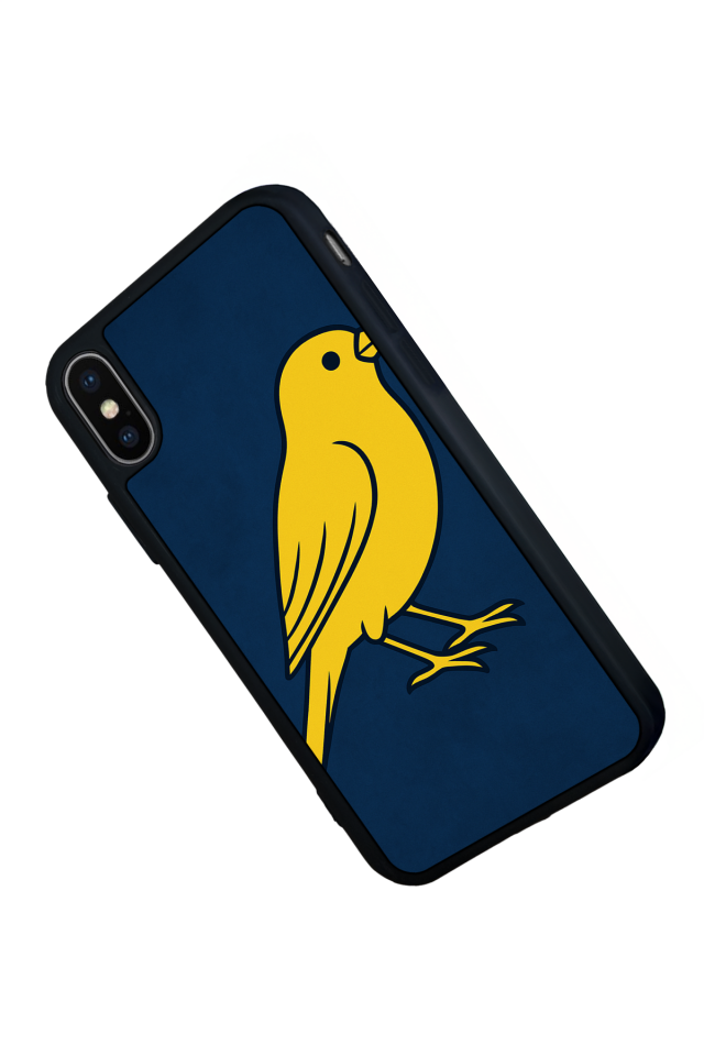 iPhone X/ XS Uyumlu Fenerbahce Tasarımlı Glossy Premium Kılıf
