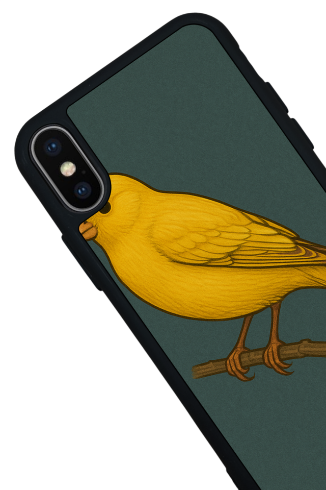 iPhone X/ XS Uyumlu Fenerbahce Tasarımlı Glossy Premium Kılıf