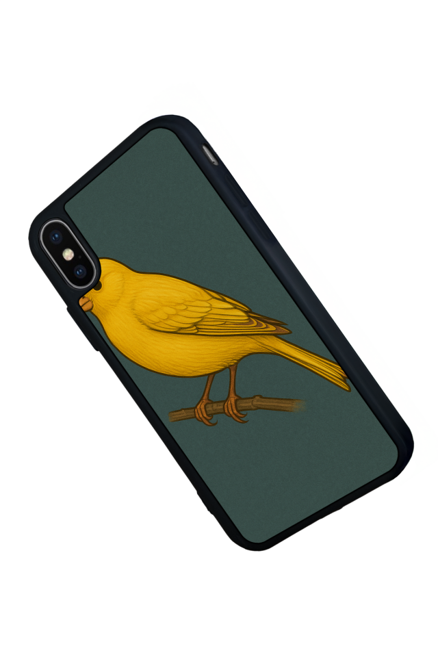 iPhone X/ XS Uyumlu Fenerbahce Tasarımlı Glossy Premium Kılıf