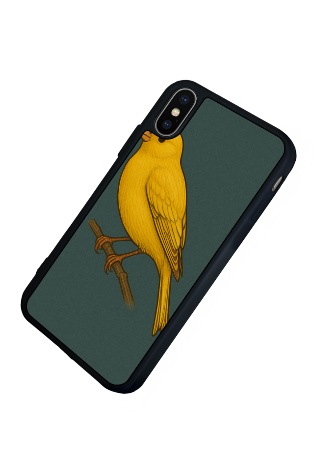 iPhone X/ XS Uyumlu Fenerbahce Tasarımlı Glossy Premium Kılıf