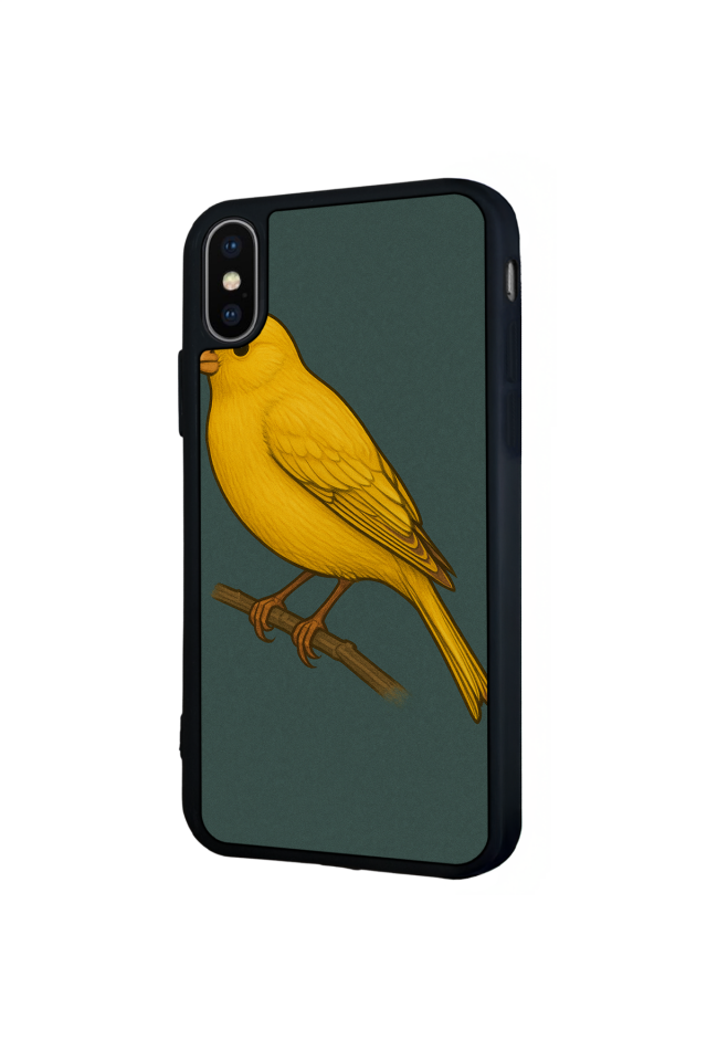iPhone X/ XS Uyumlu Fenerbahce Tasarımlı Glossy Premium Kılıf