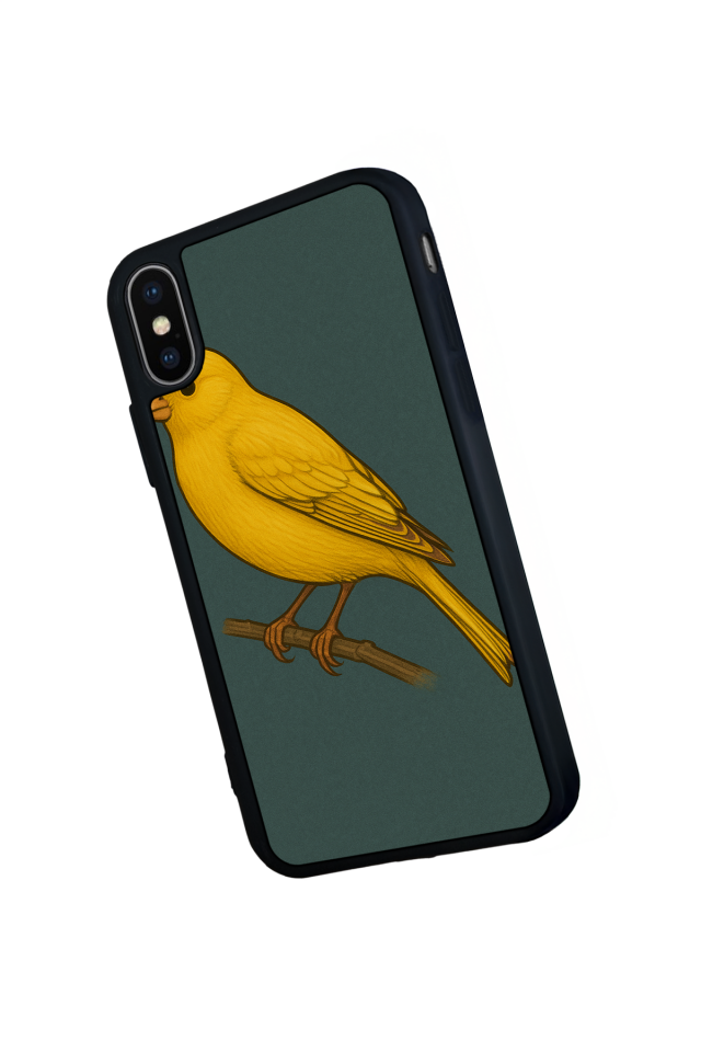 iPhone X/ XS Uyumlu Fenerbahce Tasarımlı Glossy Premium Kılıf