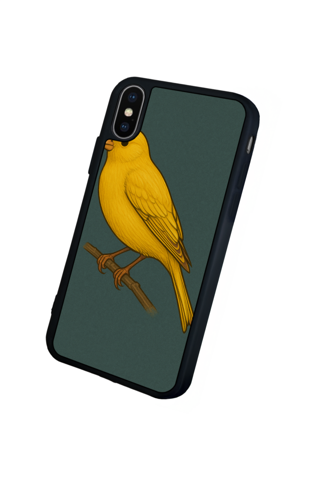 iPhone X/ XS Uyumlu Fenerbahce Tasarımlı Glossy Premium Kılıf