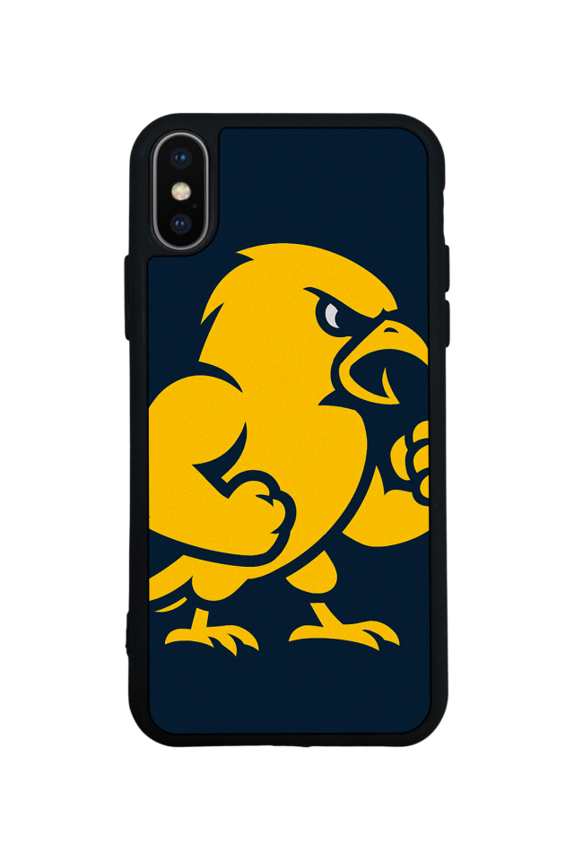 iPhone X/ XS Uyumlu Fenerbahce Tasarımlı Glossy Premium Kılıf
