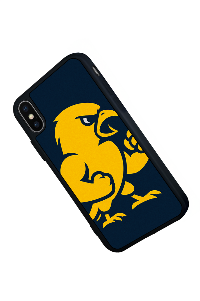 iPhone X/ XS Uyumlu Fenerbahce Tasarımlı Glossy Premium Kılıf