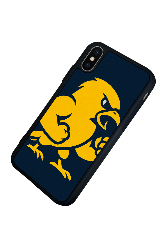 iPhone X/ XS Uyumlu Fenerbahce Tasarımlı Glossy Premium Kılıf