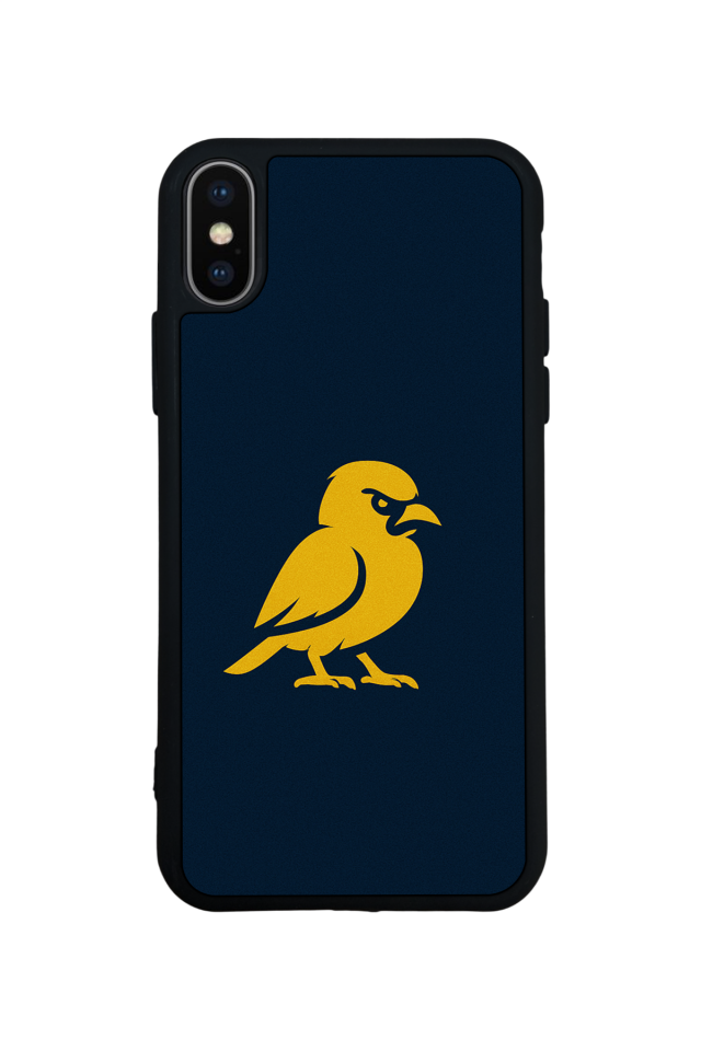 iPhone X/ XS Uyumlu Fenerbahce Tasarımlı Glossy Premium Kılıf
