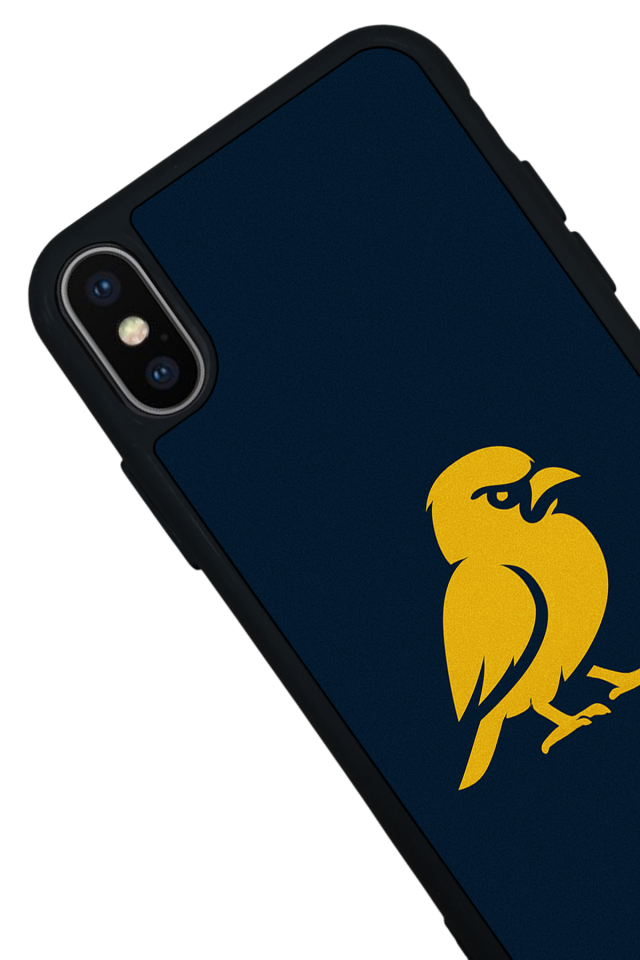 iPhone X/ XS Uyumlu Fenerbahce Tasarımlı Glossy Premium Kılıf