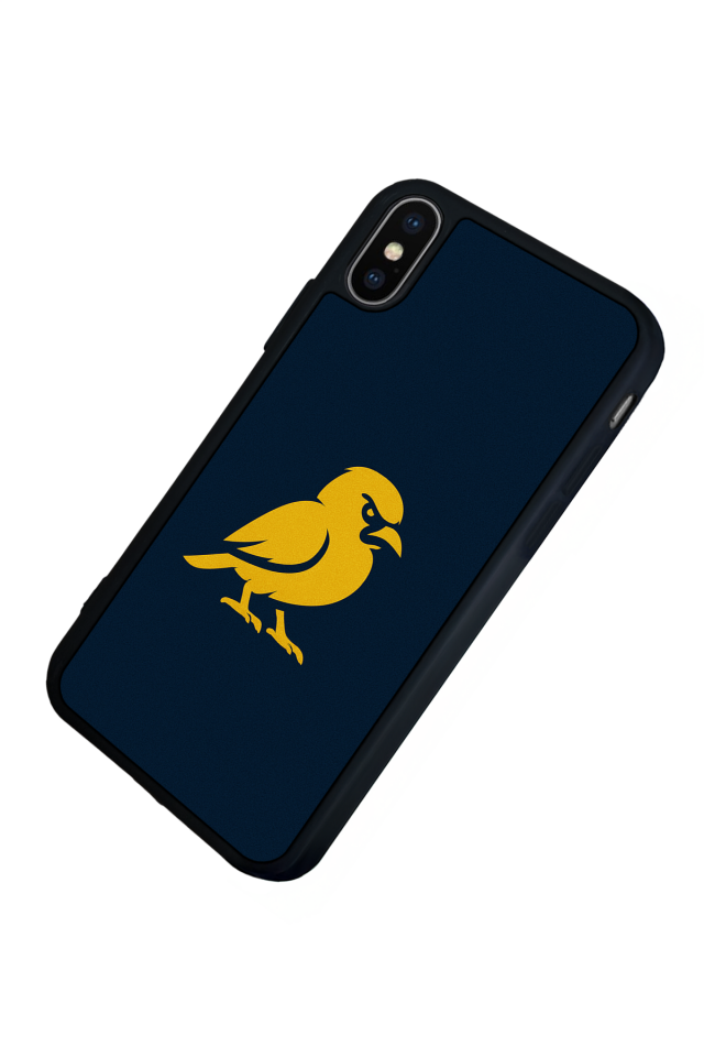 iPhone X/ XS Uyumlu Fenerbahce Tasarımlı Glossy Premium Kılıf