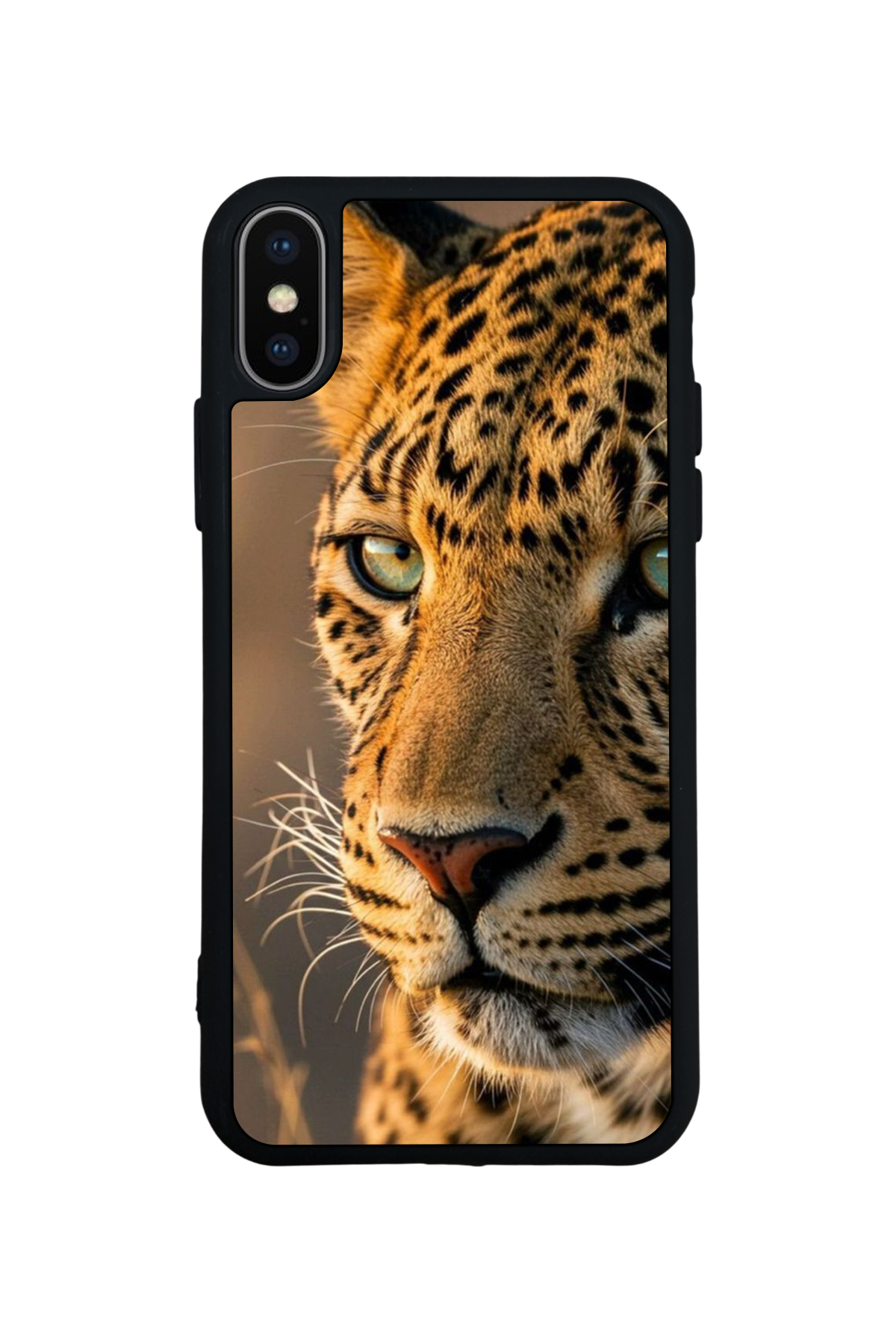 iPhone X/ XS Uyumlu Cita Tasarımlı Glossy Premium Kılıf