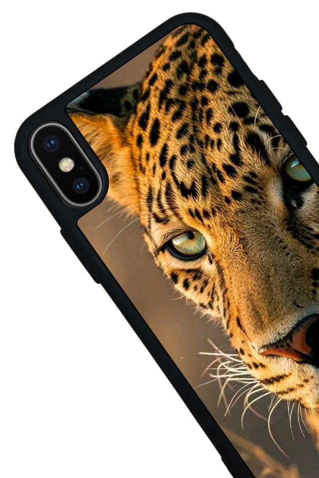 iPhone X/ XS Uyumlu Cita Tasarımlı Glossy Premium Kılıf